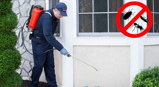 Yalıhüyük Gümüşkurt İlaçlama böcek ilaçlama ve haşere kontrolü — ilaclama-tr.com